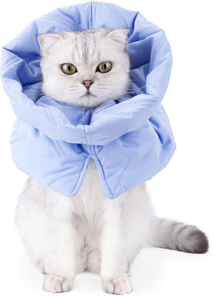 longziming Postoperatieve Kattenkraag - Verstelbare Zachte Beschermkraag voor Katten en Kittens - Voorkomt Likken van Wonden - Blijf warm - Lichtblauw, S