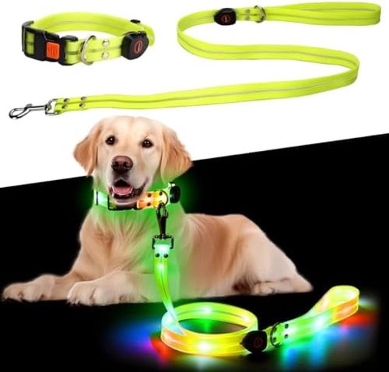 Golden retriever avec un collier et une laisse jaunes éclairés par des LED multicolores.