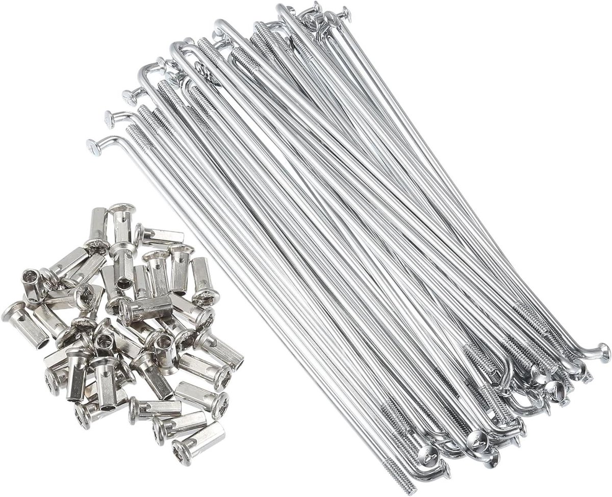 Allecto plus - Motorfiets spaken zilverkleur 4 mm schroefdraad diameter 170 mm lengte - RVS materiaal