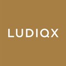 Alle artikelen van LUDIQX
