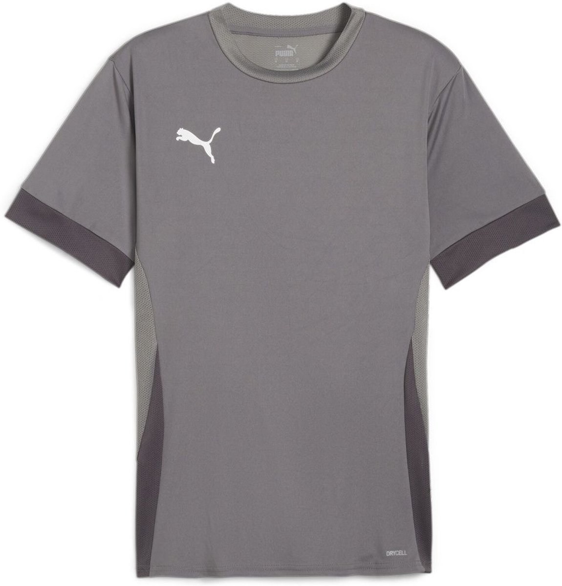 Puma TeamGoal wedstrijdshirt 705747 Grijs