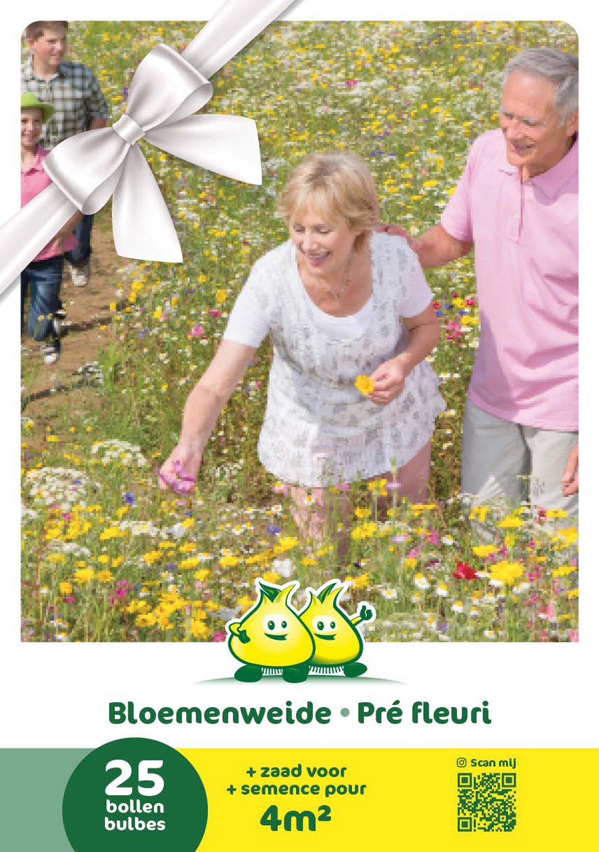 20 x Cadeauverpakking bloembollen en bloemenweide - 25 bloembollen en zaad voor 4m bloemenweide - geschenkverpakking - veldbloemen - narcis - tulp - iris