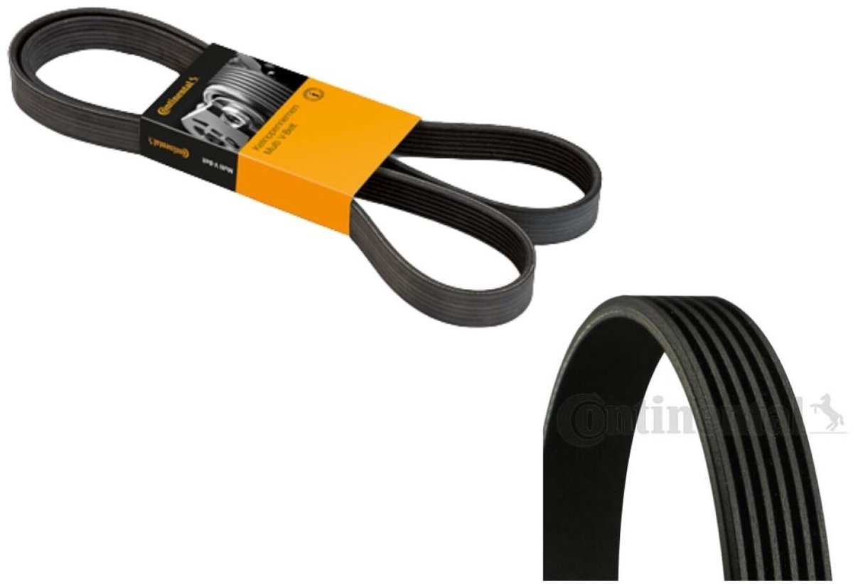 Continental Contitech 5PK1355 Courroie trapézoïdale à nervures