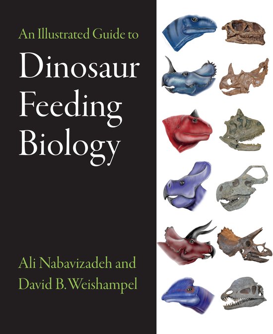 An Illustrated Guide to Dinosaur Feeding Biology - cover