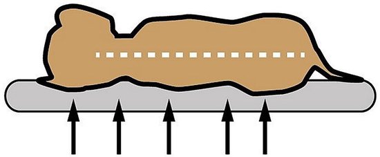 Sun Garden Lou Orthopedisch Hondenkussen 80x55x5cm Antraciet