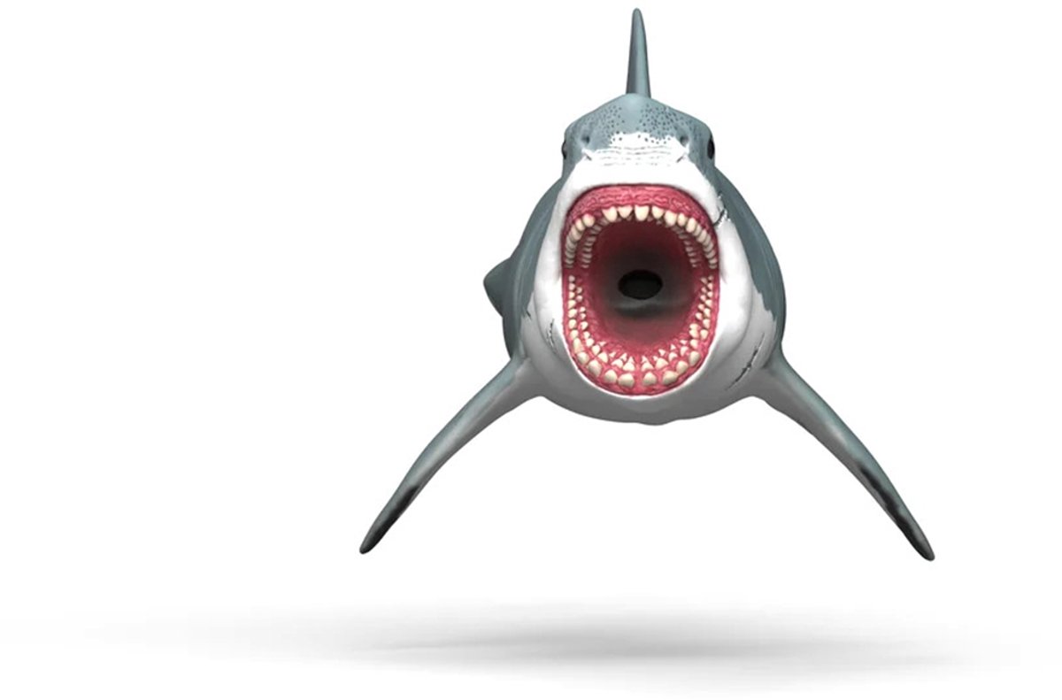 Schleich Megalodon speelfiguur: prehistorische haai 17cm thumbnail 3