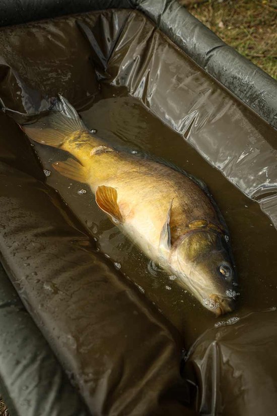 Fox Carpmaster Welded Cradle — afbeelding 4