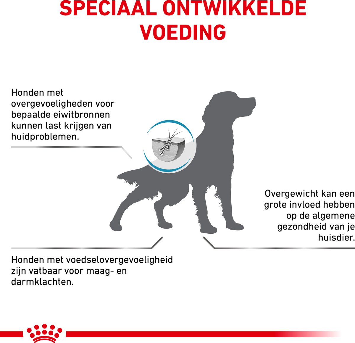 Royal Canin - Hypoallergenic Voeding thumbnail 5