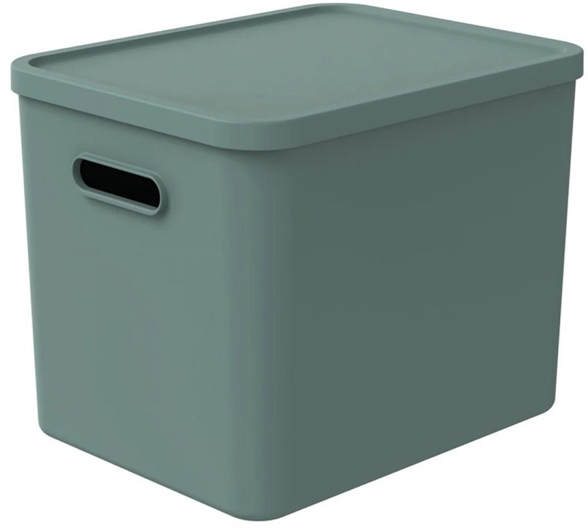Rotho ALBULA Multibox 29.5x29x37 cm 27L Mistletoe Groen