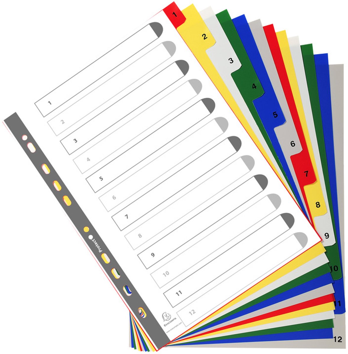 Exacompta Tabbladen met bedrukte tabs in gekleurde PP - 31 tabs - 1 tot 31 - A4 maxi - Geassorteerde felle kleuren - 88E