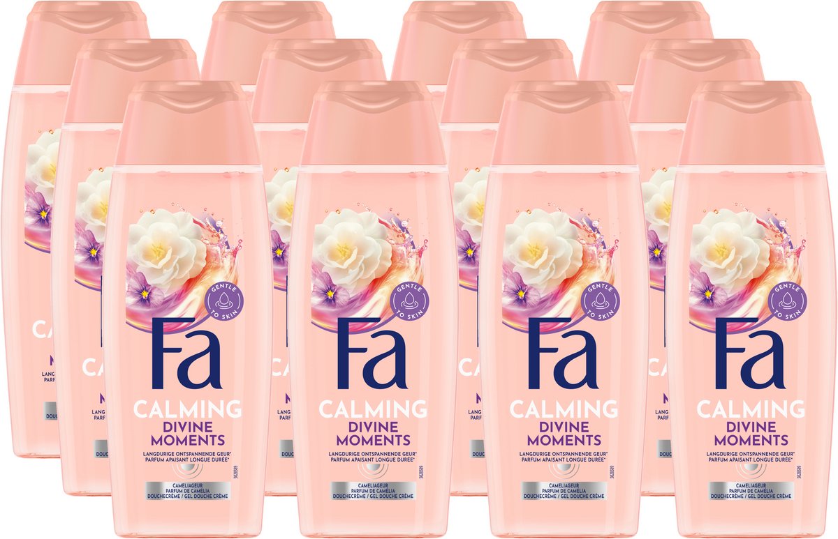Fa Divine Moments Douchegel 12x250ml - Voordeelverpakking