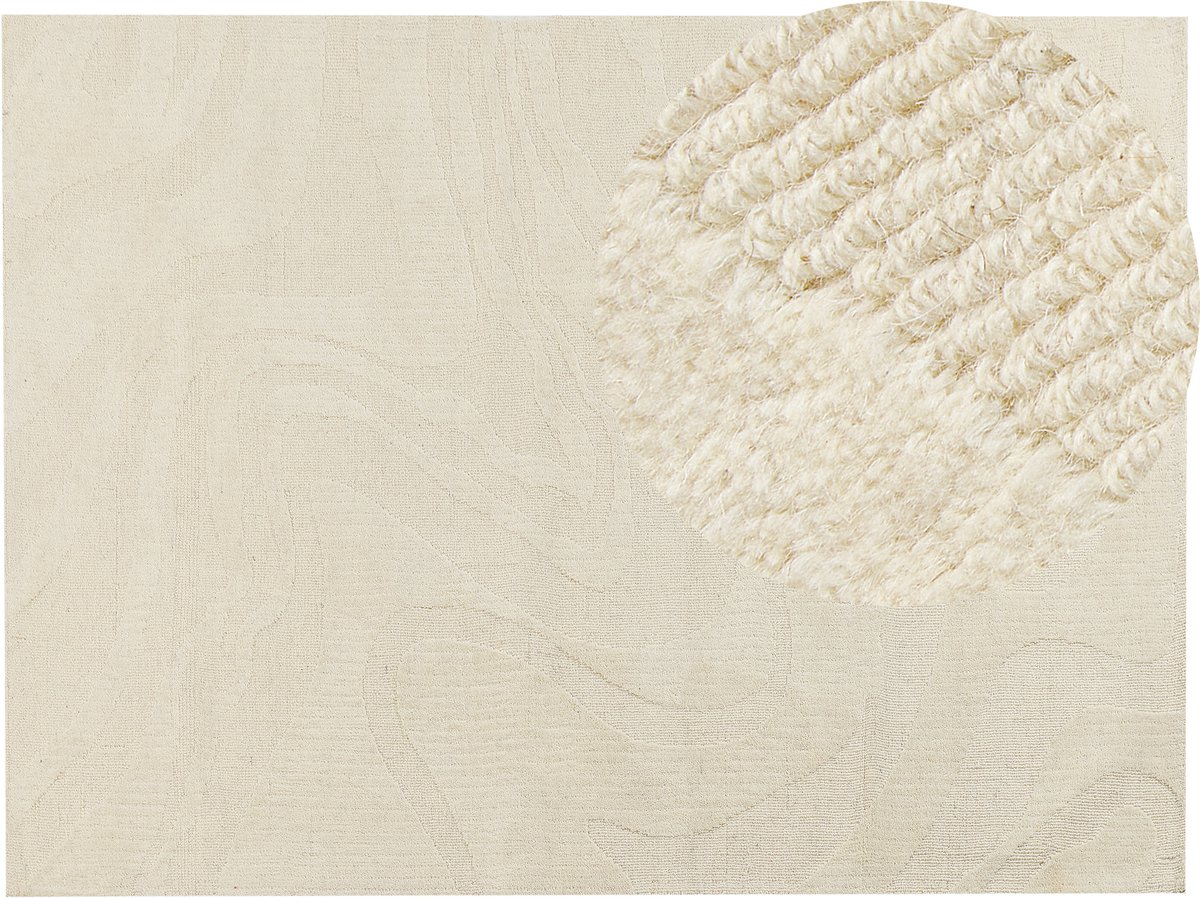SASNAK - Vloerkleed - Beige - 300 x 400 cm - Wol