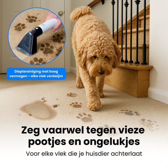 Hond met pootafdrukken op tapijt, met inset van NEXROW vlekkenreiniger die de vlekken verwijdert.