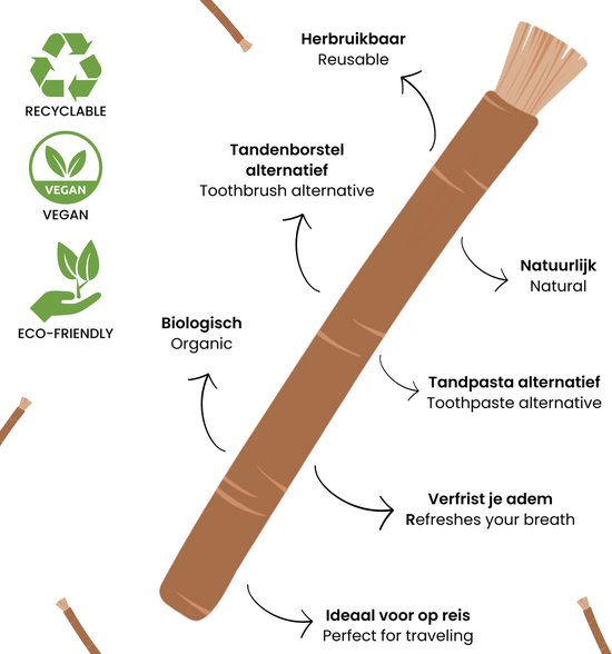 Grote illustratie van een Miswak takje met labels: Recyclable, Vegan, Eco-Friendly, Reusable, Natural, Toothbrush alternative, Toothpaste alternative, Refreshes your breath, Perfect for traveling.