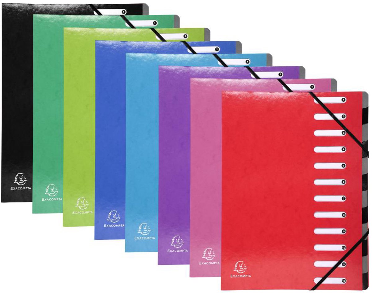 Exacompta IDERAMA® Harmonika Sorteermap - 12 indelingen - Roze - 53928E