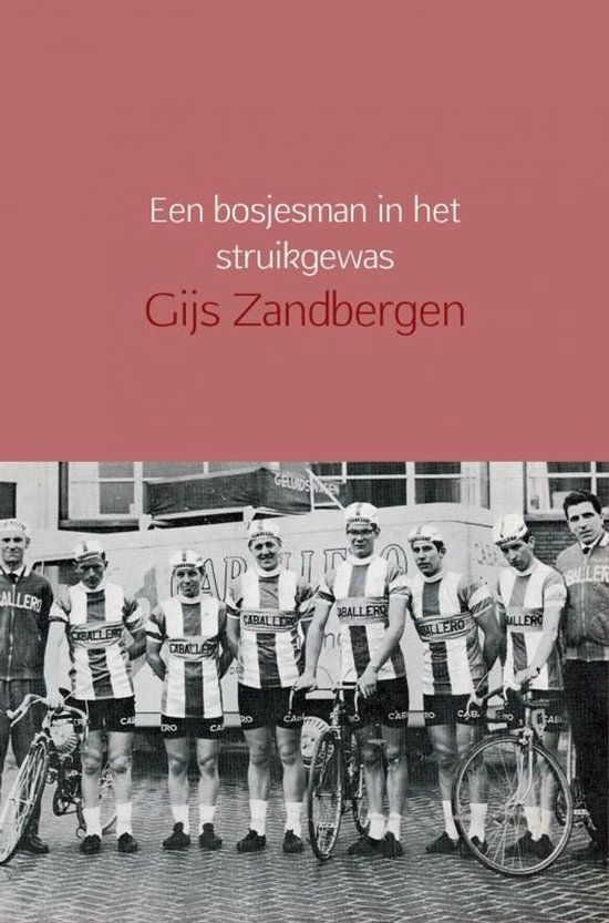 Een bosjesman in het struikgewas - cover