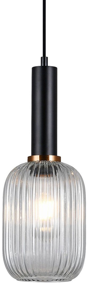 Antiola Hanglamp PND-5588-1M-BK+CL - Zwart Glas