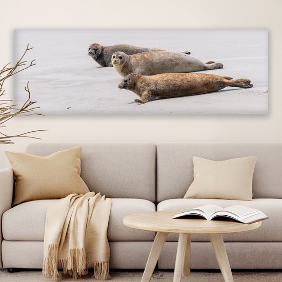 Canvas schilderij 150x50 cm - Wanddecoratie Zeehonden op Nord Friesland - Muurdecoratie woonkamer - Slaapkamer decoratie - Kamer accessoires - Schilderijen op canvas