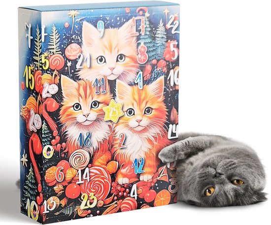 Adventskalender met drie schattige oranje katjes en kerstversieringen. Een grijze kat ligt ernaast.