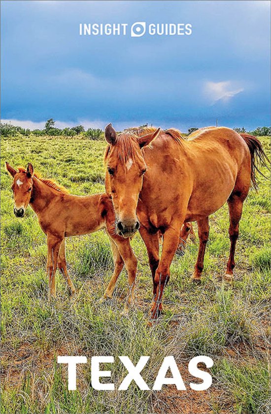 Insight Guides - Insight Guides Texas: Travel Guide eBook - cover