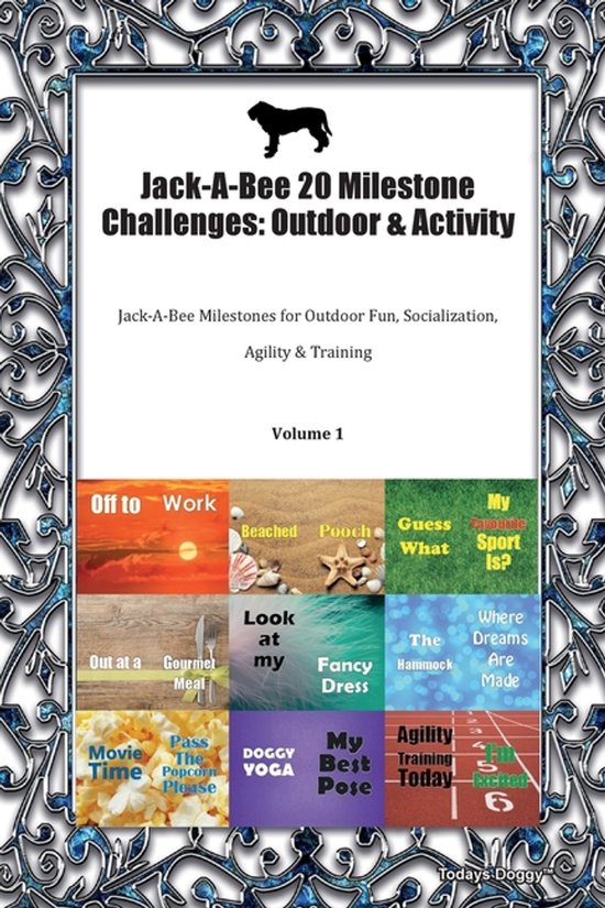 Jack-A-Bee 20 Milestone Challenges - cover