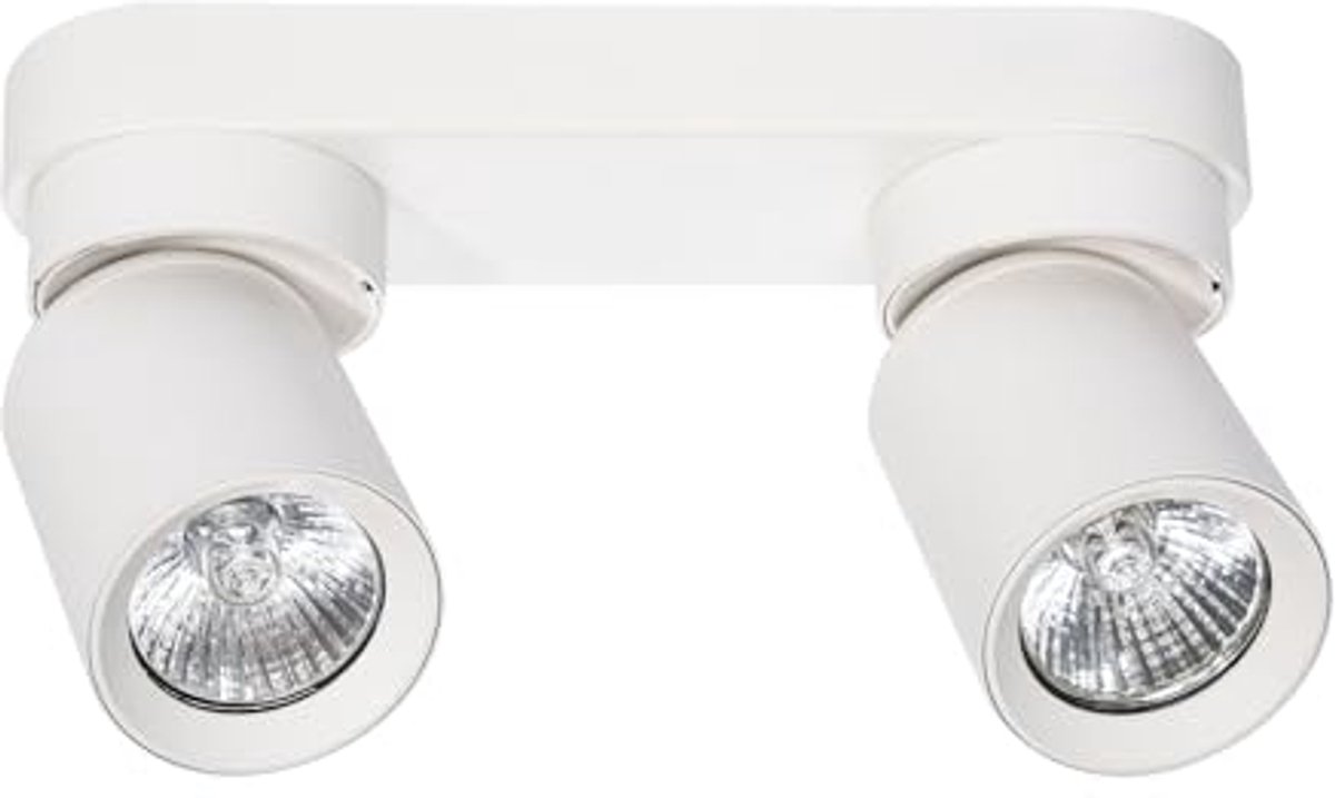Wand- en Plafondlamp voor Woonkamer met 2 Lichtbronnen