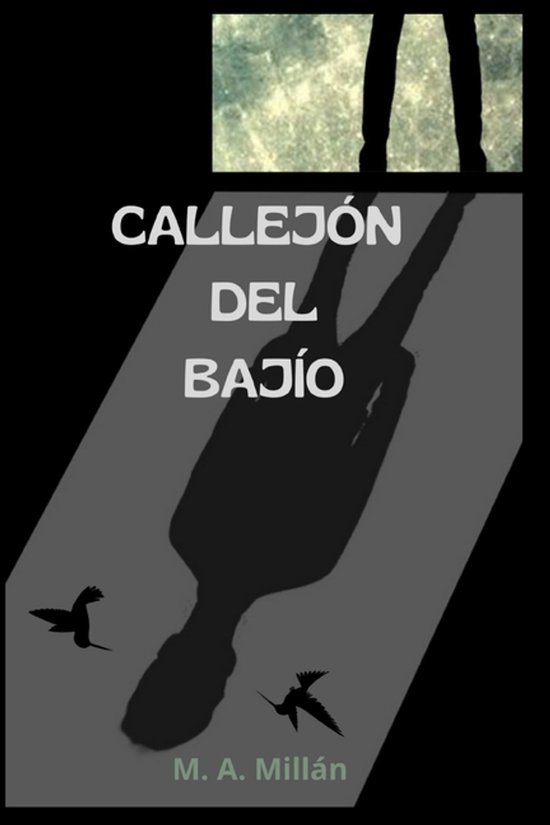 Callejón del Bajío - cover