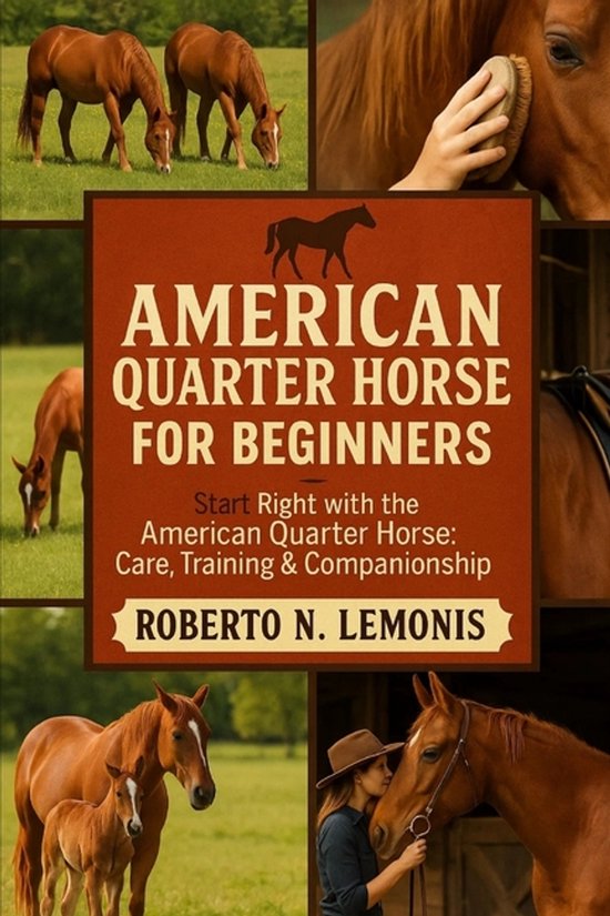 American Quarter Horse for Beginners - cover