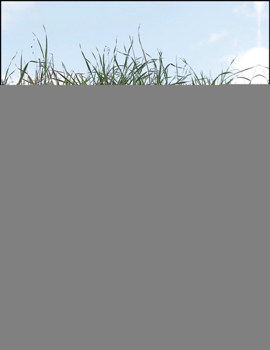 Soil Water Measurement - cover