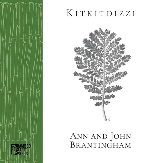 Kitkitdizzi - cover