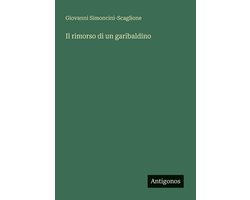 Il rimorso di un garibaldino