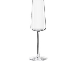 Stölzle Power Champagneglas / Flute 24 Cl - 6 Stuks