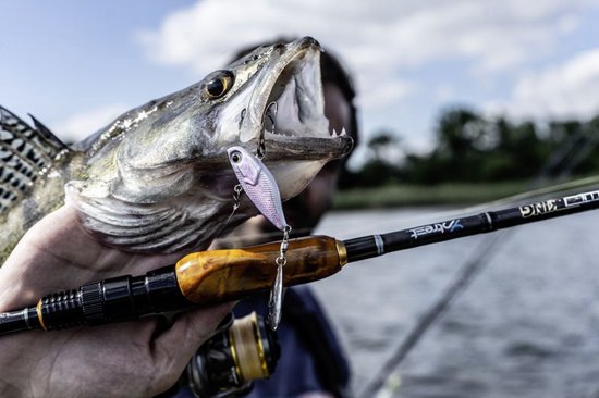 Quantum Spin Jig UV Active 14g 3.7cm - Kleur : Firetiger van Quantum — afbeelding 2