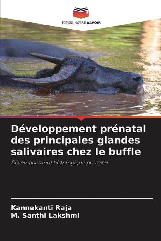 Développement prénatal des principales glandes salivaires  ... - cover