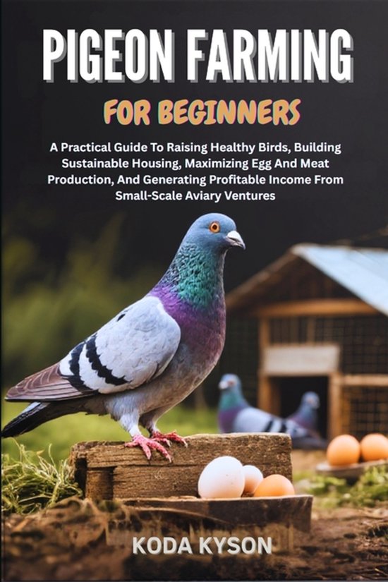 Pigeon Farming for Beginners