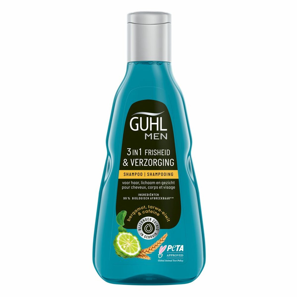 1 x Guhl - 3-in-1 Shampoo - Freshness & Care Man - 250 ml - 3-in-1 Shampoo - Mannelijk Haar - Frisheid Shampoo - Menthol Shampoo - Cafeïne Shampoo