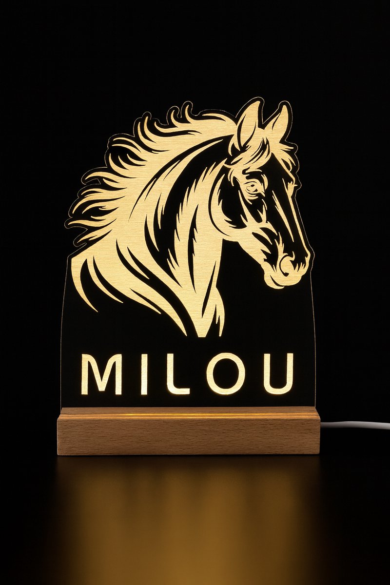Gepersonaliseerd Nachtlampje met Paard | LED Lamp met Naam | Kinderkamer Decoratie | Paarden Cadeau voor Jongens en Meisjes – 11x15 cm