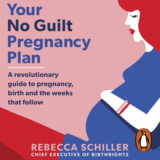 Your No Guilt Pregnancy Plan - cover