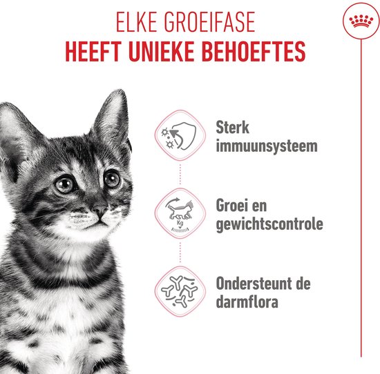 Een kitten kijkt naar de camera. Rechts staan iconen met tekst: Sterk immuunsysteem, Groei en gewichtscontrole, Ondersteunt de darmflora.