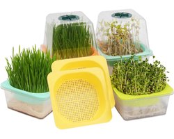 ApexArte® Kiempot voor Kiemzaden - Kiemtoren - Kiemglas Kiemgroente