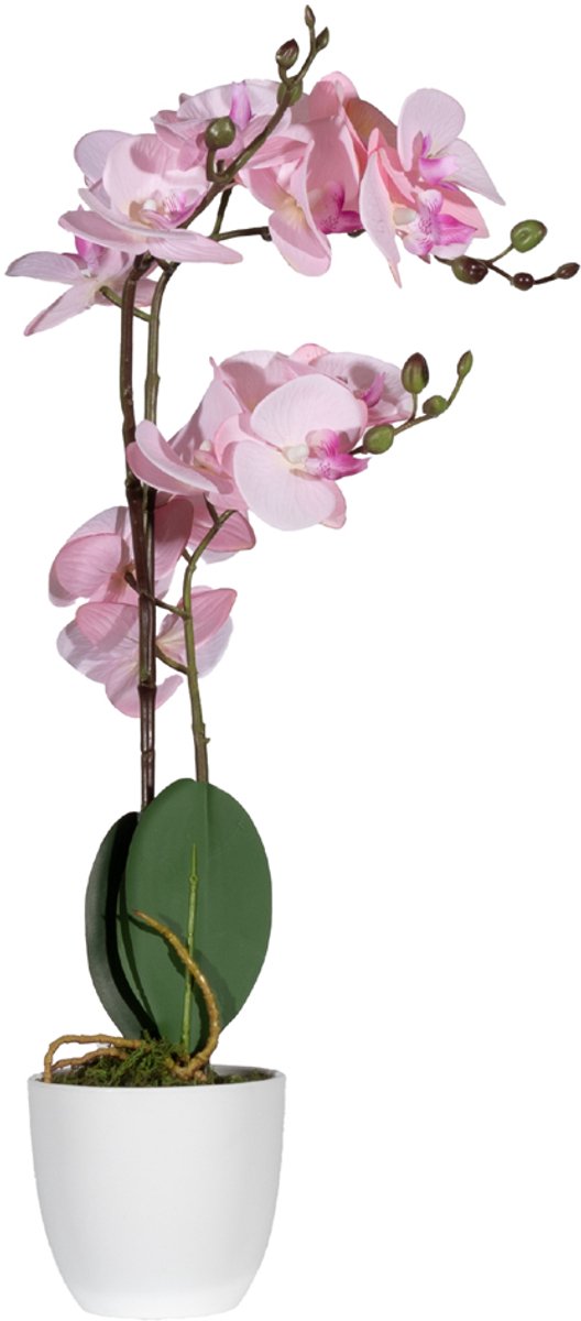 PAPERFLOW kunstplant - orchidee, roze, hoogte: 500 mm