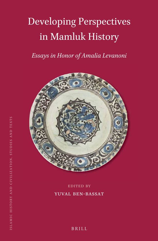 Islamic History and Civilization143- Developing Perspectives ... - cover