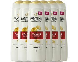 Pantene Shampoo Color Protect Volume 6 x 500 ml