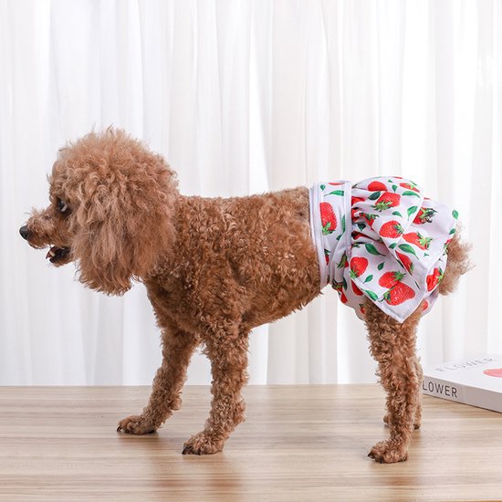 Vrouwelijke Honden Fysiologische Menstruele Hygiën... – Grandado