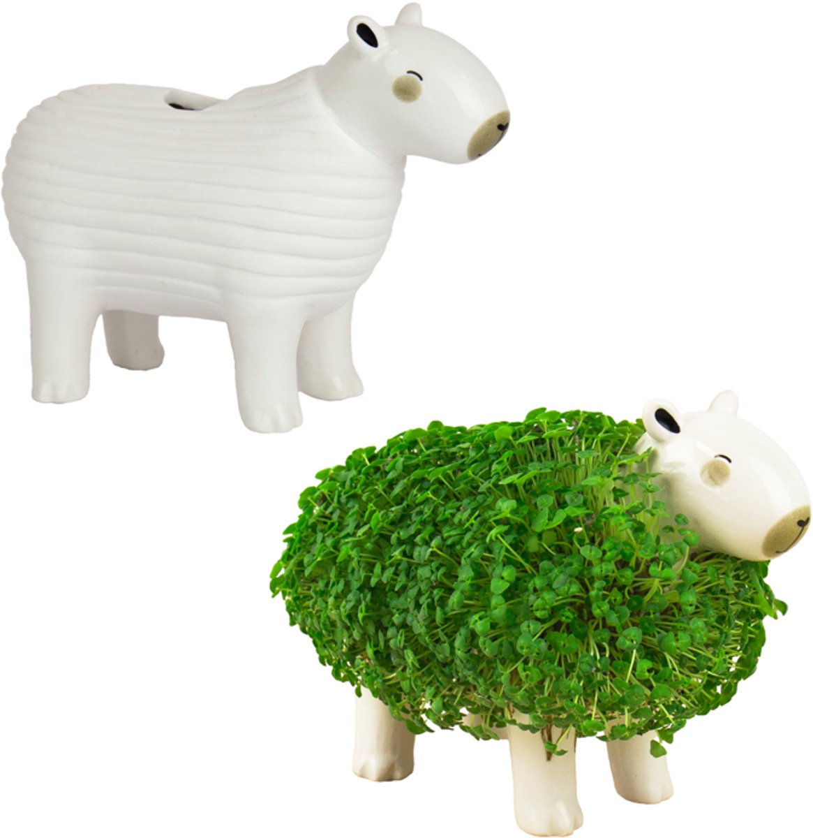 Gift Republic Plantenpot met chiazaden - Capybara