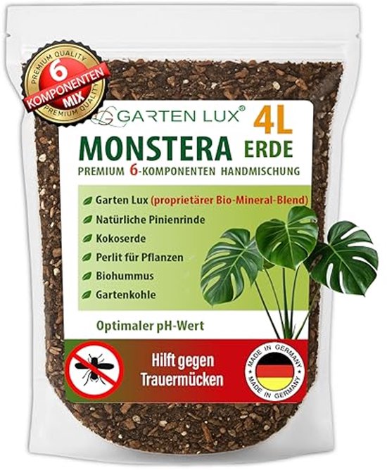 Verzorging van cactussen en vetplanten