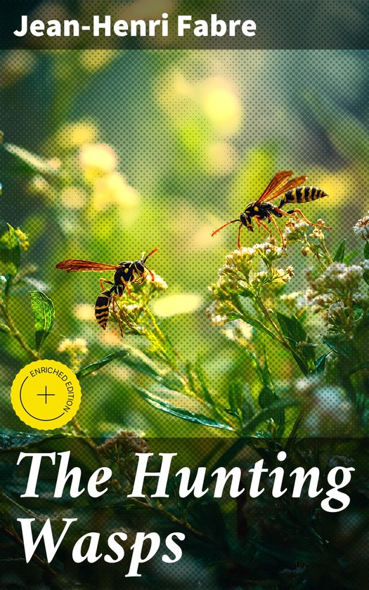 The Hunting Wasps - cover