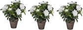 3x Groene Azalea kunstplant witte bloemen 27 cm in pot stan grey - Kunstplanten/nepplanten
