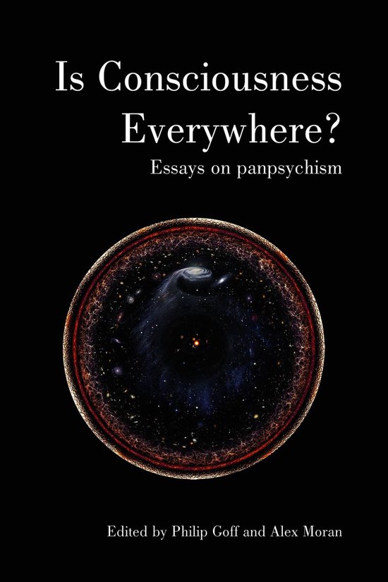 Is Consciousness Everywhere?