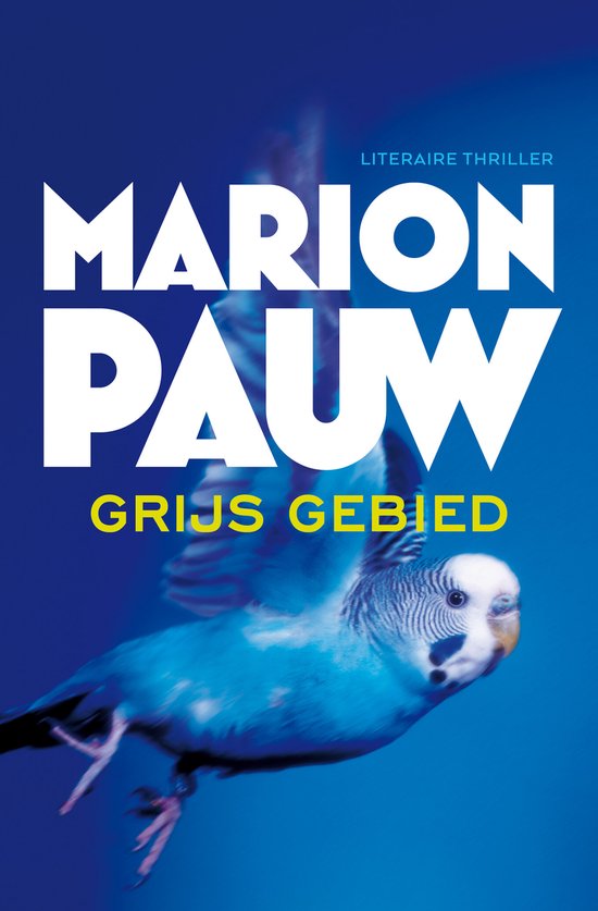 Grijs gebied - cover